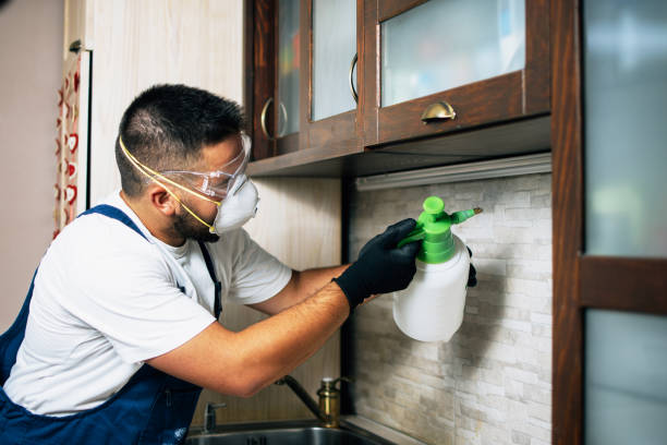 Best Commercial Pest Control Services  in Fife Heights, WA