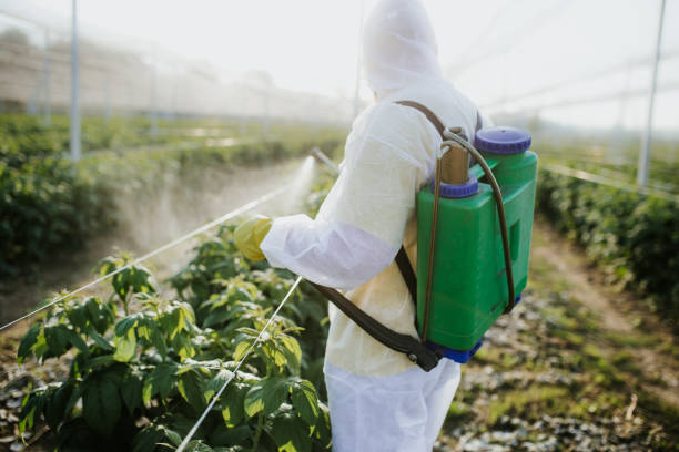 Best Pest Control Near Me  in Fife Heights, WA
